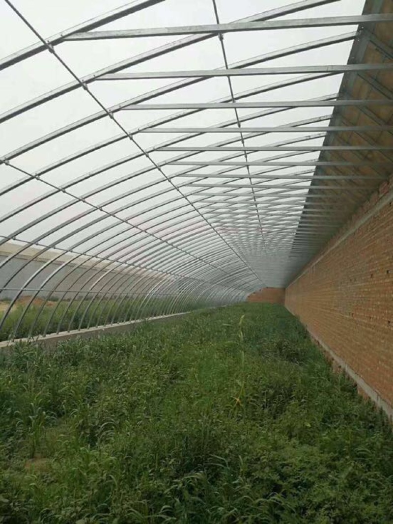 大棚骨架，温室大棚，花卉大棚安装销售
