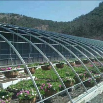 大棚骨架，温室大棚，花卉大棚安装销售