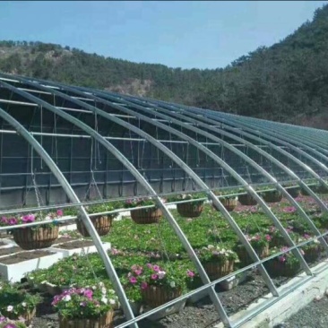 大棚骨架，温室大棚，花卉大棚安装销售
