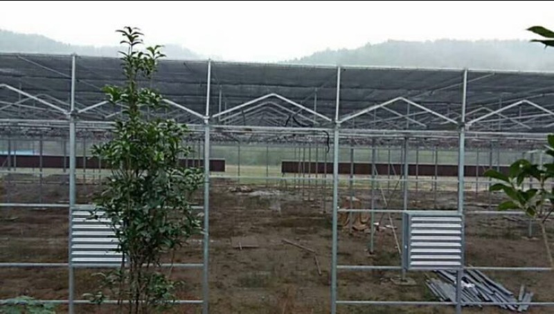大棚骨架，温室大棚，花卉大棚安装销售