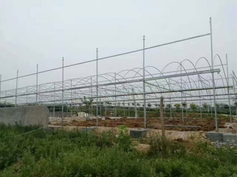 大棚骨架，温室大棚，花卉大棚安装销售