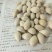 银杏果