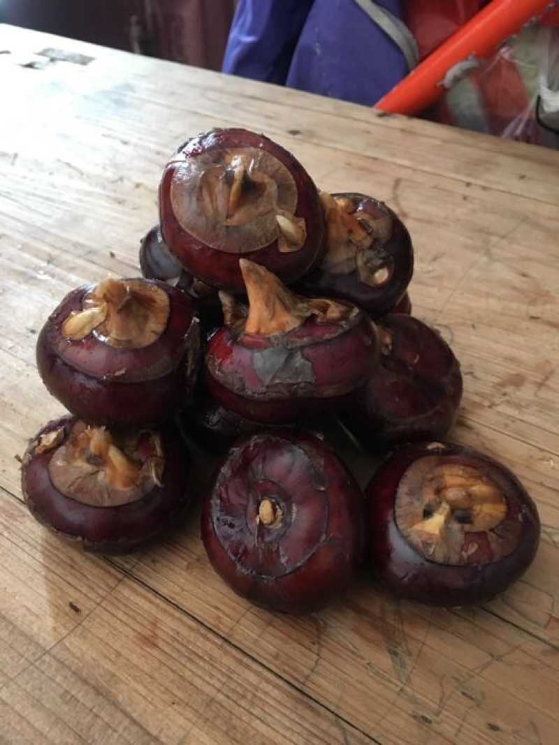 马蹄，荸荠，自家种植，供应稳定，欢迎咨询