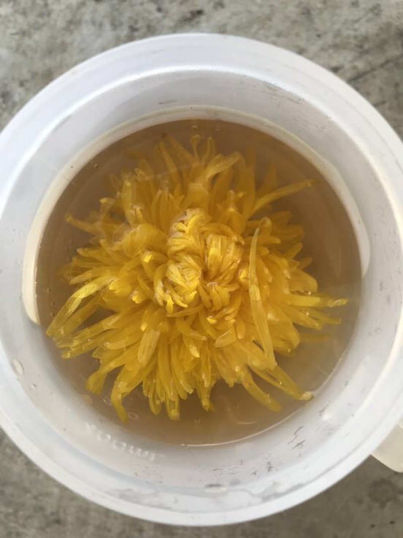 金丝皇菊茶一级