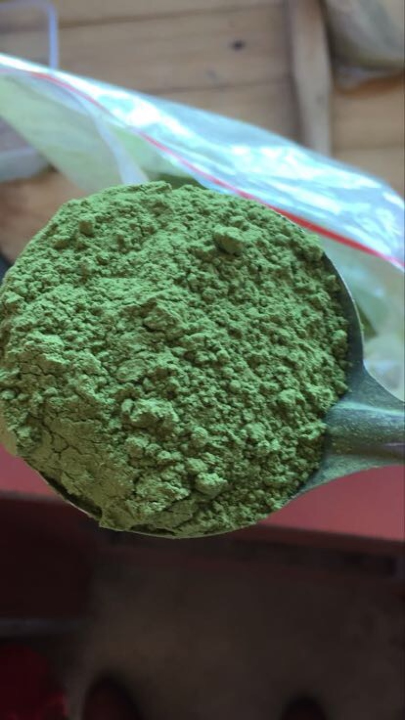 豆腐树苗80~100cm