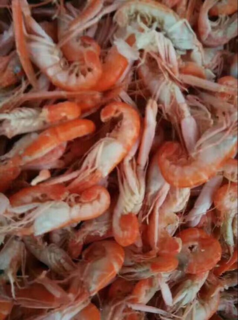 熟冻爪虾狗虾夹虾甲板虾食用冻虾大量加工批发