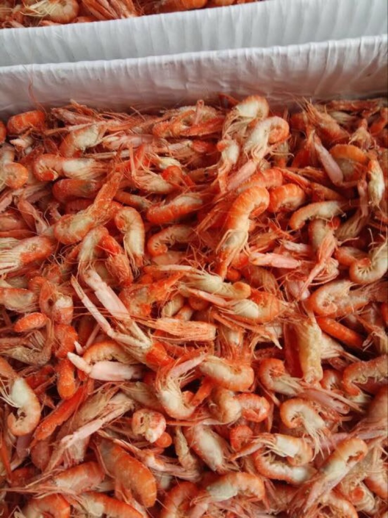 熟冻爪虾狗虾夹虾甲板虾食用冻虾大量加工批发