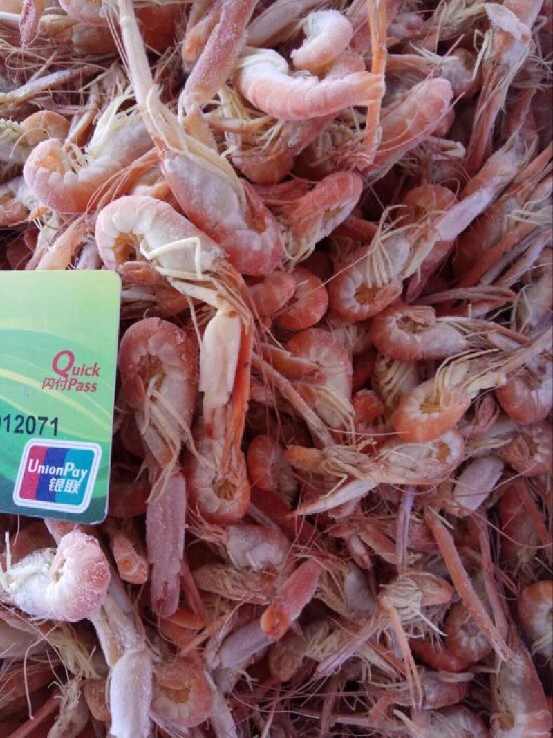 熟冻爪虾狗虾夹虾甲板虾食用冻虾大量加工批发