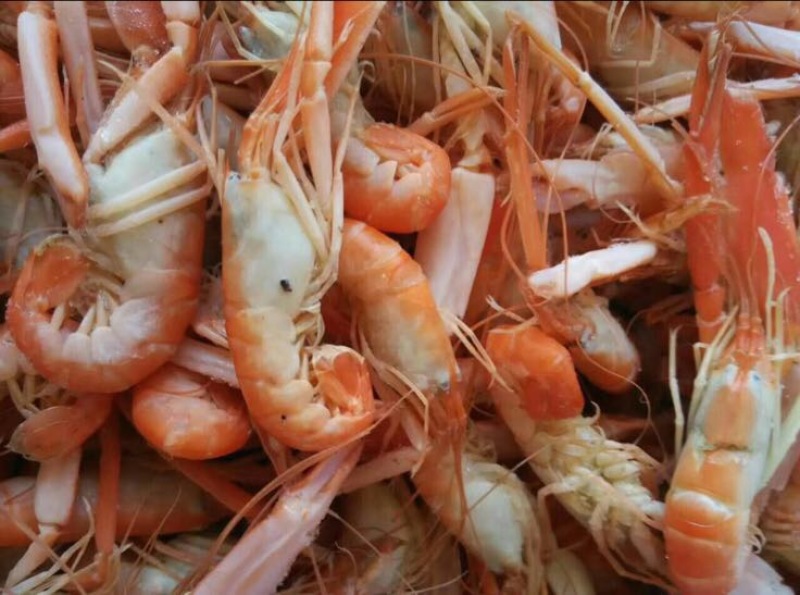 熟冻爪虾狗虾夹虾甲板虾食用冻虾大量加工批发