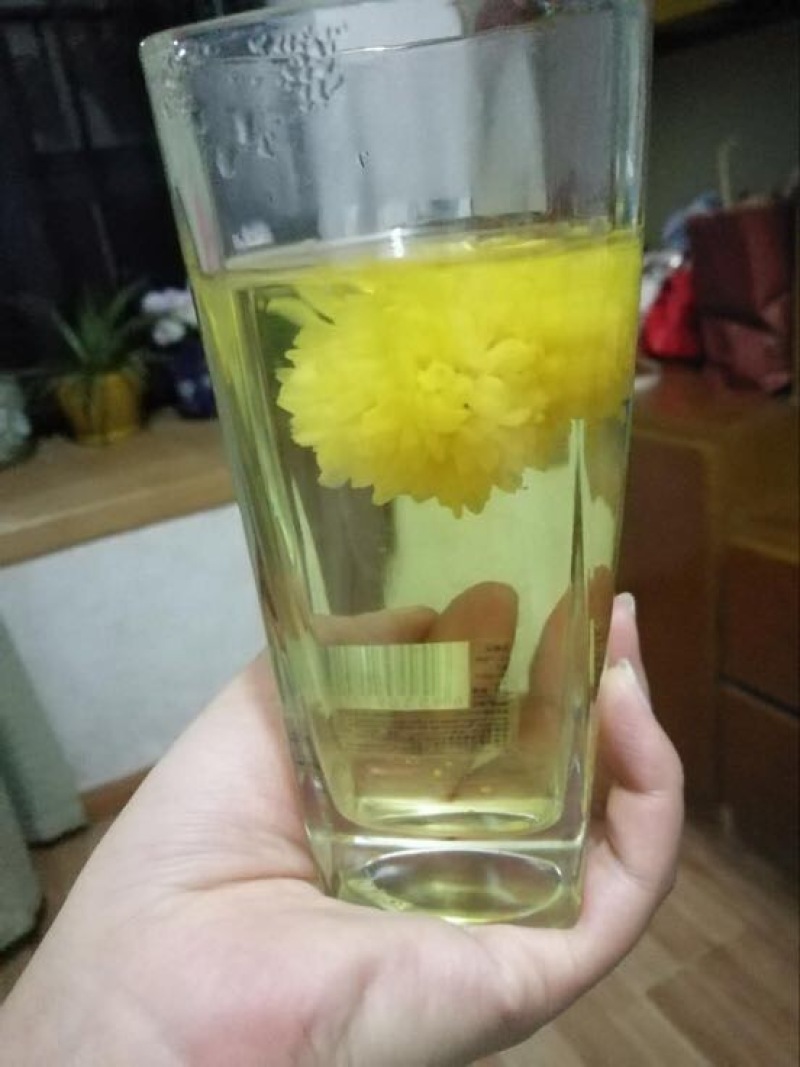 菊花茶一级