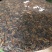 普洱茶特级