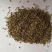 牛膝种子