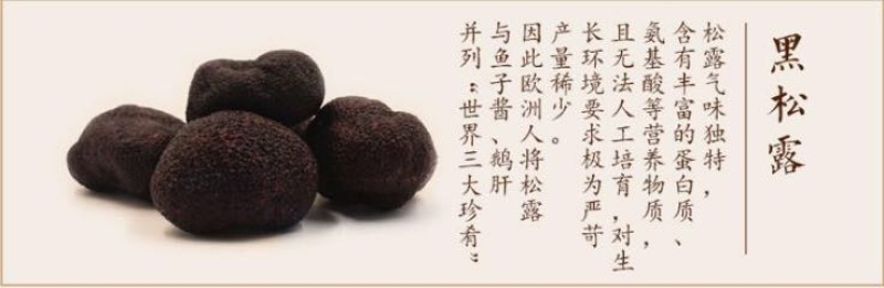 块菌