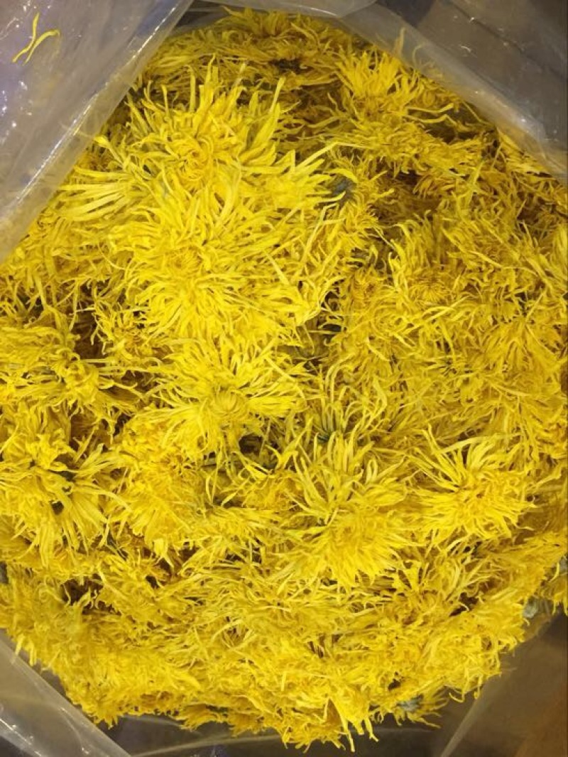 菊花茶特级