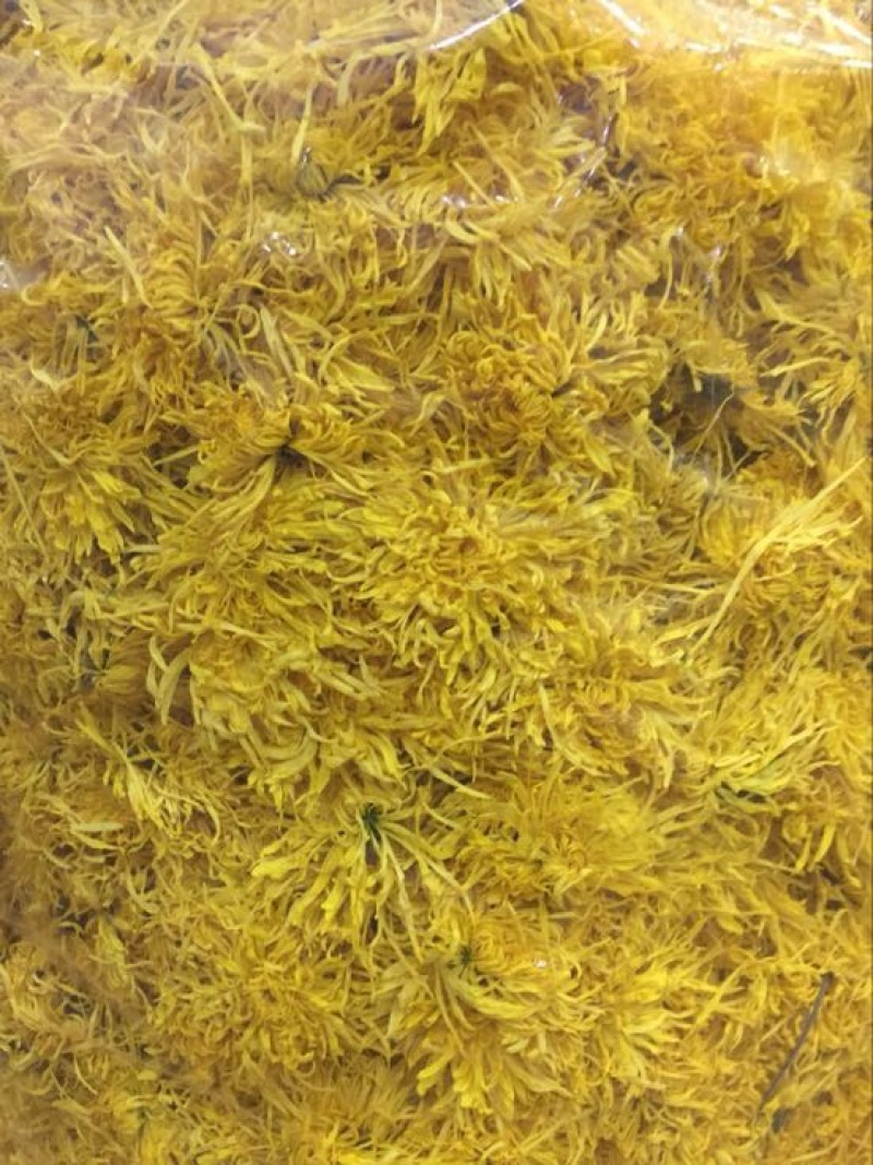菊花茶特级
