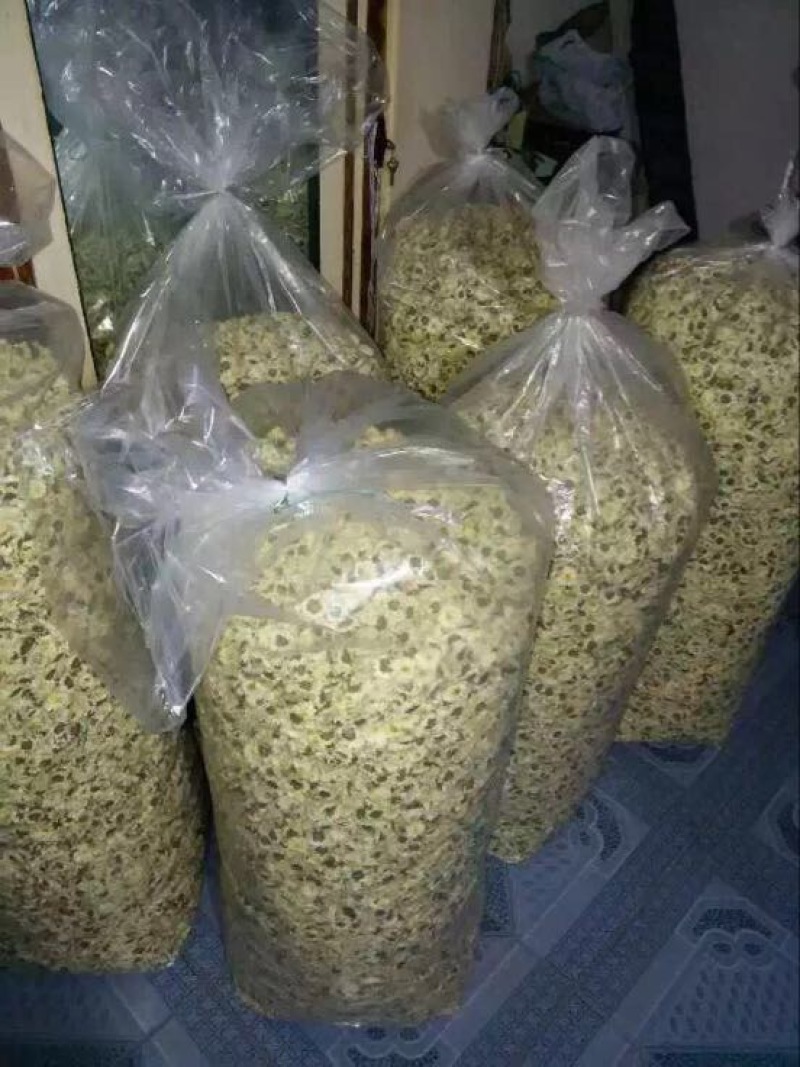 菊花茶特级