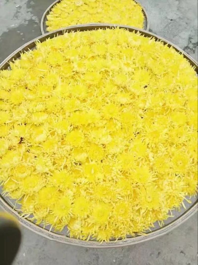 菊花茶特级