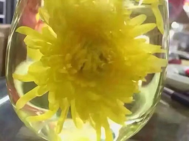 菊花茶特级
