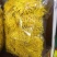 菊花茶特级