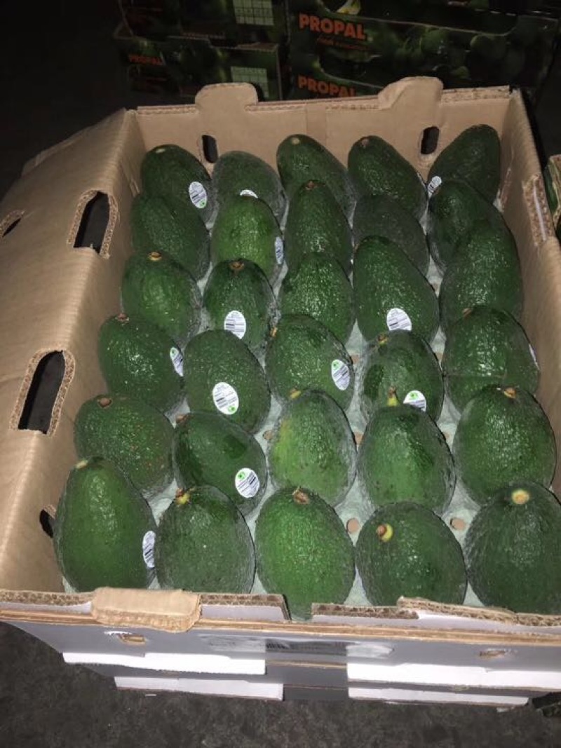 牛油果180~200g
