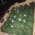 牛油果180~200g
