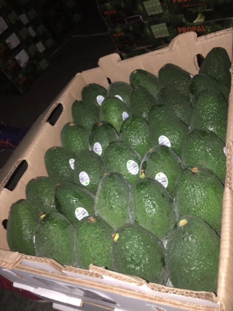 牛油果180~200g