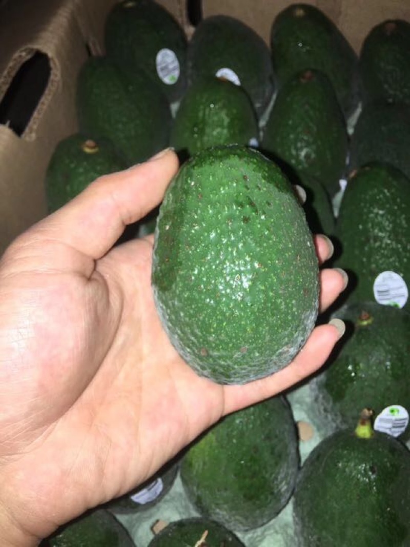 牛油果180~200g