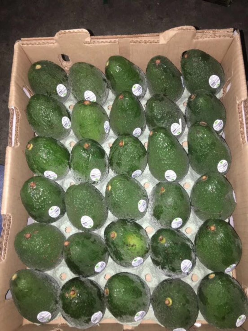 牛油果180~200g