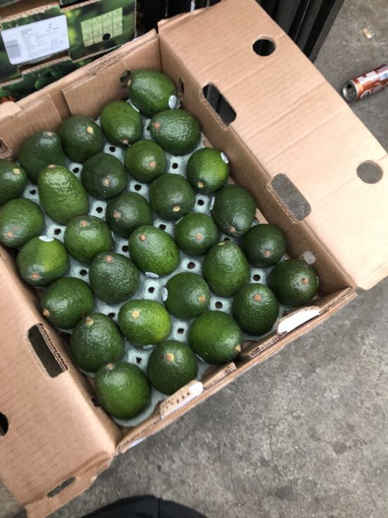 牛油果180~200g