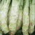 棒菜圆叶棒菜。花叶棒菜四川绵阳。各种做工