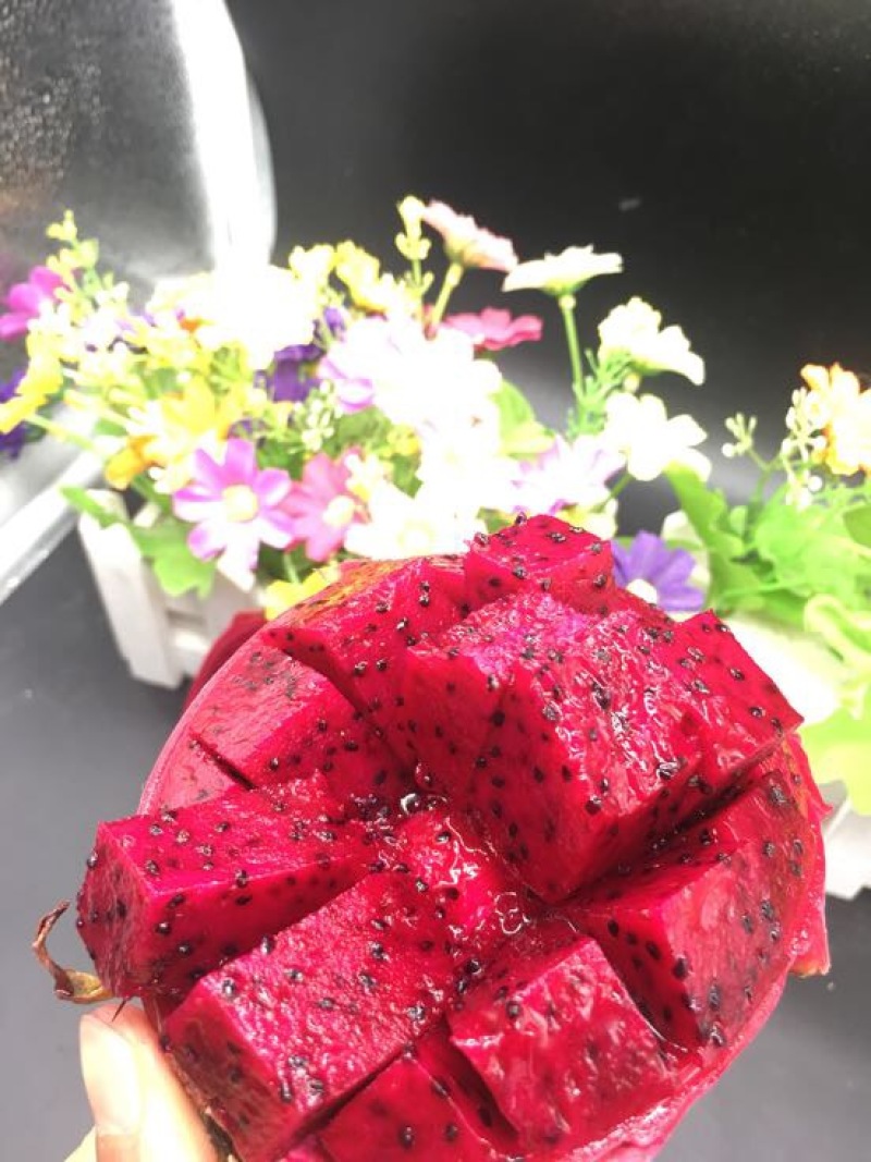 红心火龙果一件代发