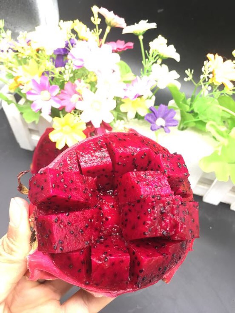 红心火龙果一件代发