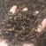 普洱茶特级
