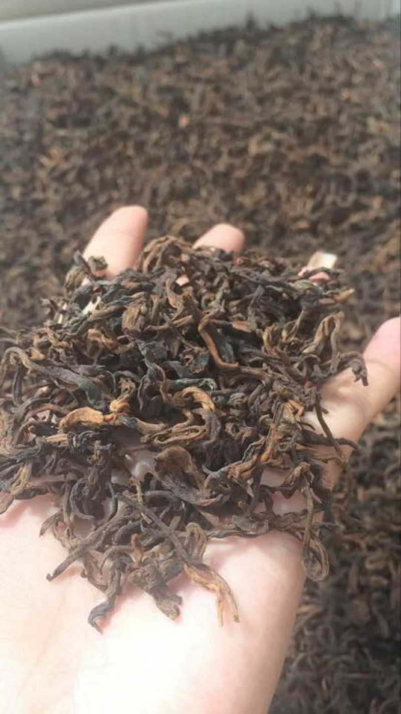 普洱茶特级