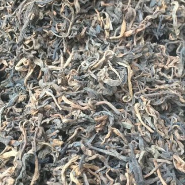 普洱茶特级