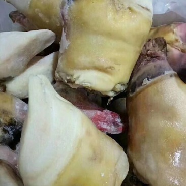 牛蹄冷冻
