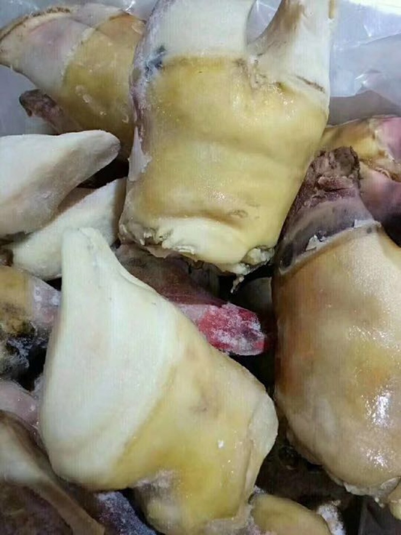 牛蹄冷冻