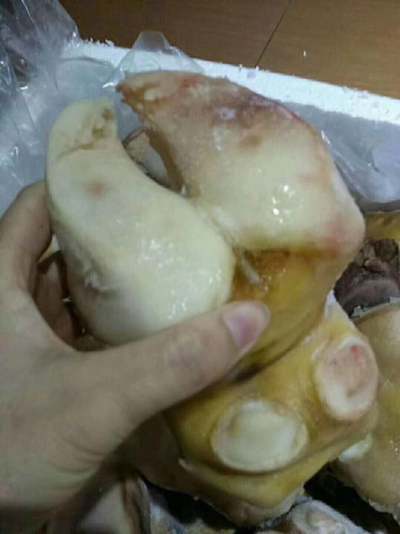 牛蹄冷冻