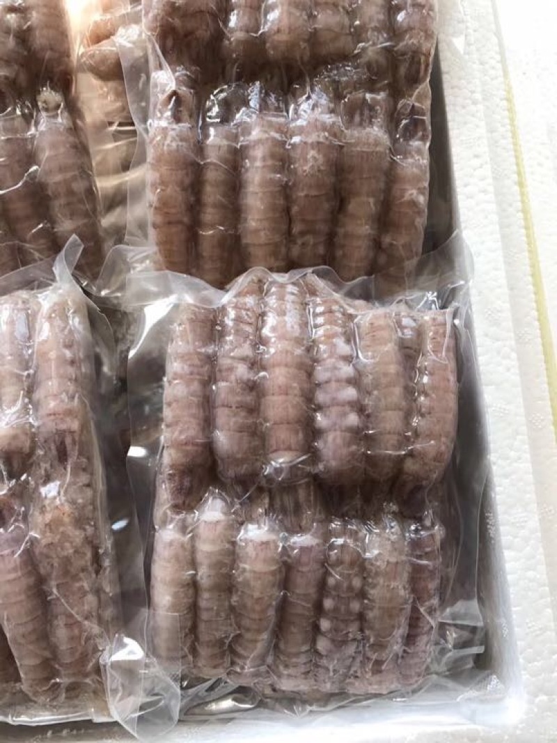 皮皮虾冻虾