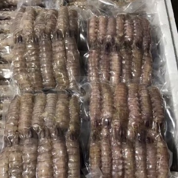 皮皮虾冻虾