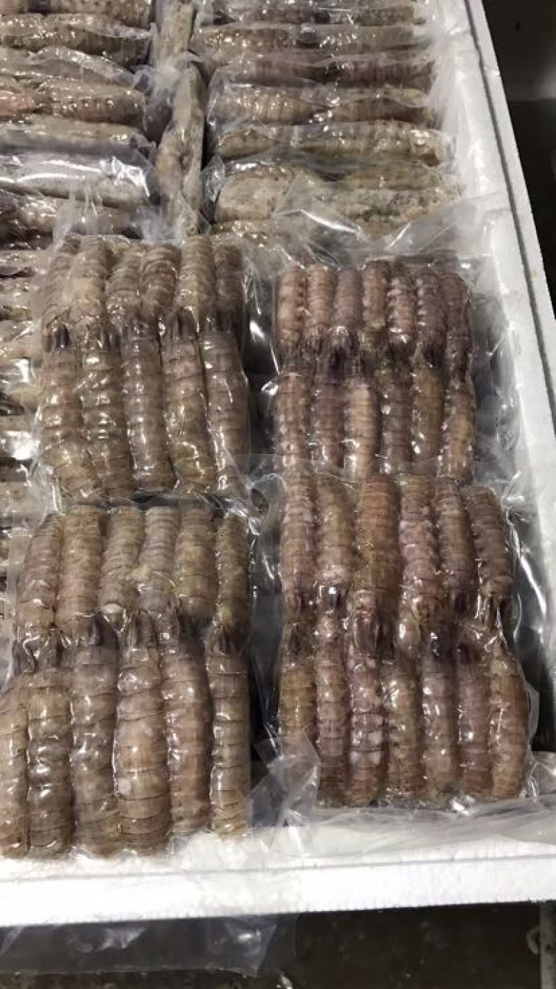 皮皮虾冻虾