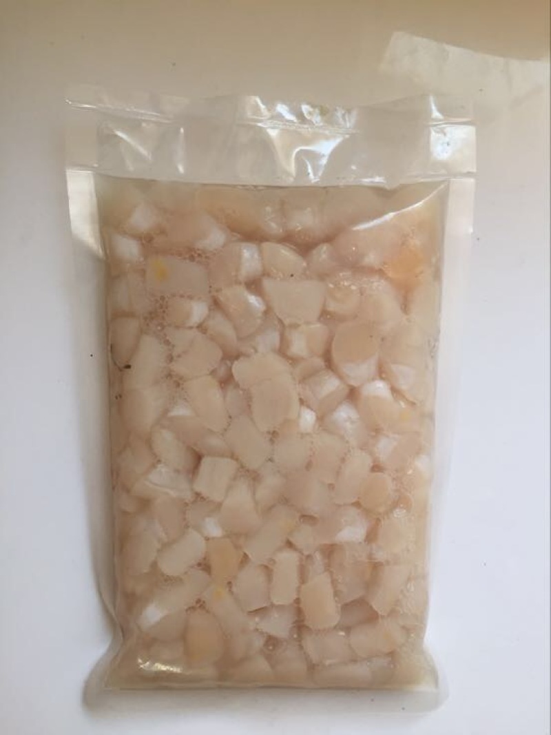 扇贝扇贝柱扇贝丁食用