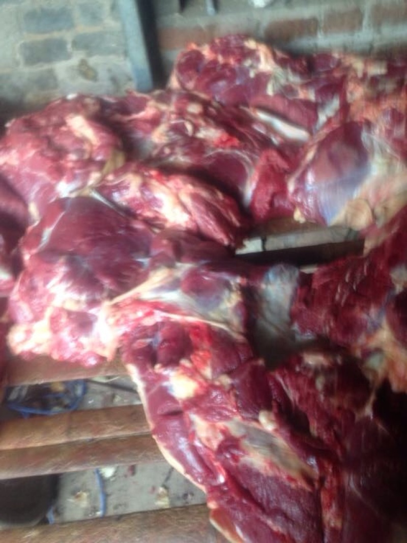驴肉鲜货