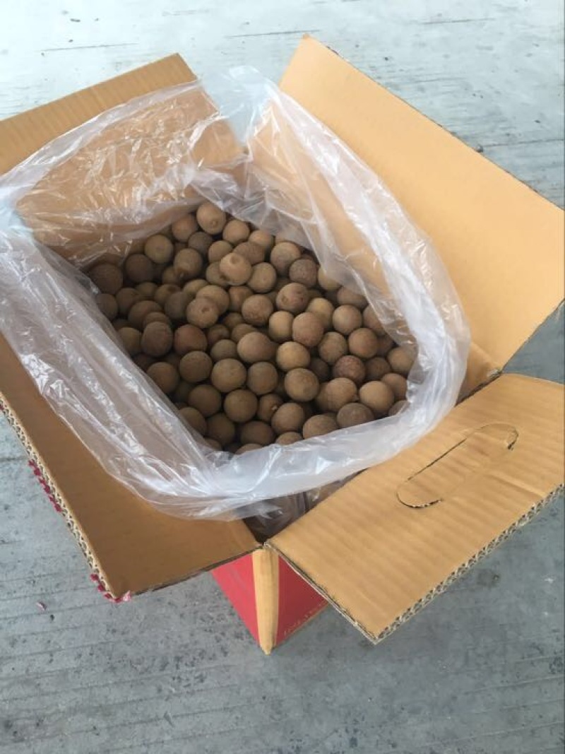 桂圆包装