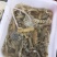 皮皮虾活虾