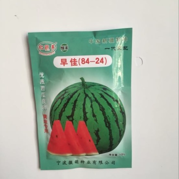 绿丰红酥手早佳84-24西瓜种子高产超甜100粒。