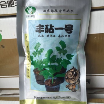 嫁接西瓜苗95%以上
