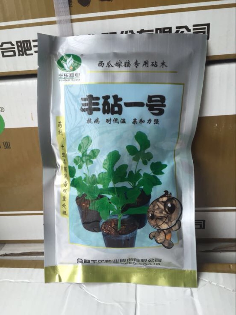 嫁接西瓜苗95%以上
