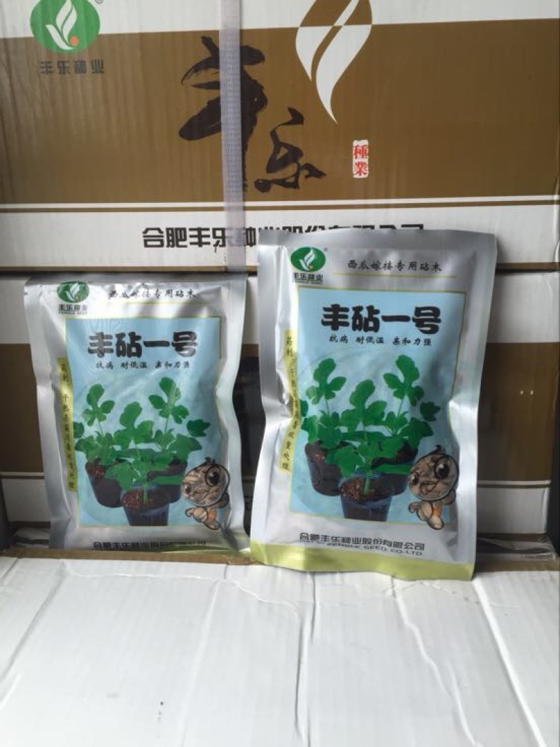 嫁接西瓜苗95%以上