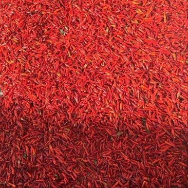 朝天椒小米椒鲜货干辣椒8.5成干精品